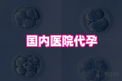 权威助孕网 3